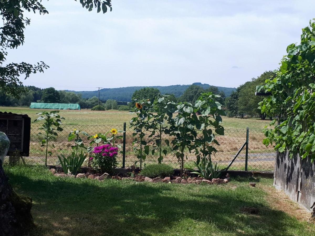 Ferienwohnung Schaefer Steinau an der Strasse ภายนอก รูปภาพ